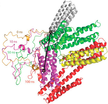 The mechanical response of vinculin